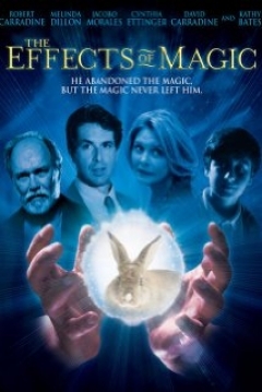 Poster The Effects of Magic