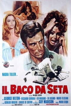 Poster Tejido de Seda
