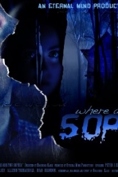 Poster Where Are You Sophia?