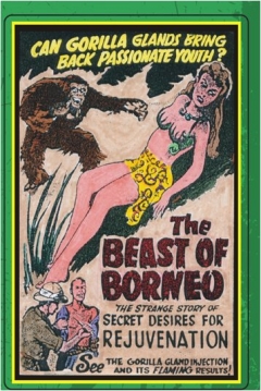 Poster La Bestia de Borneo
