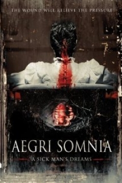 Poster Aegri Somnia