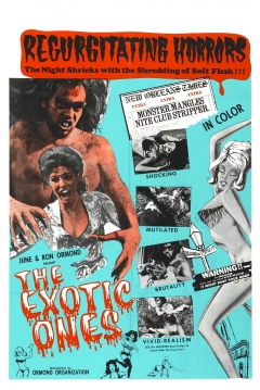 Poster The Exotic Ones