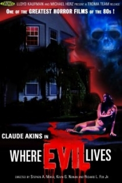 Poster Where Evil Lives