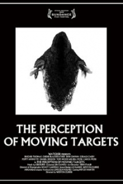 Poster The Perception of Moving Targets