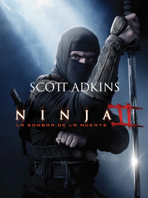 Ficha Ninja 2