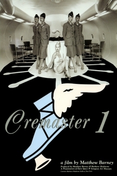 Ficha Cremaster 1