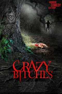 Poster Crazy Bitches