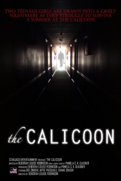 Poster Calicoon