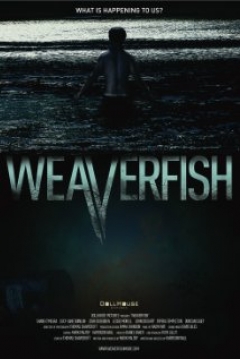 Poster Weaverfish