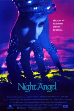 Ficha Ángel Nocturno (La Amante del Diablo)