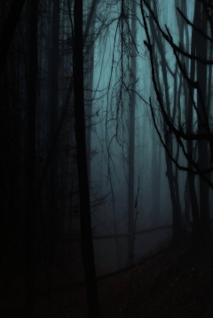 Poster Ghost Forest