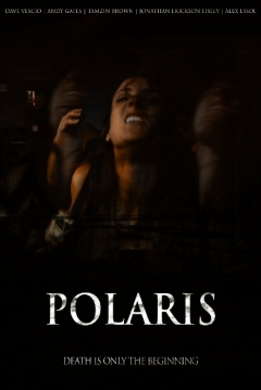 Poster Polaris