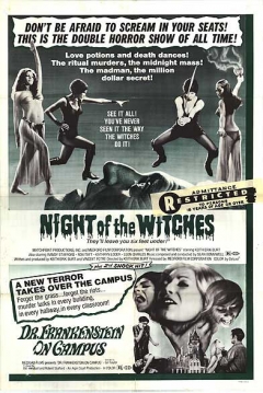 Poster Night of the Witches