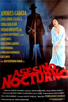 Poster Asesino Nocturno