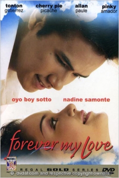 Poster Forever My Love