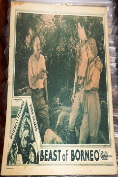Poster Beast of Borneo