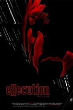 Poster Execution