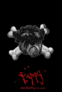 Poster Puppy
