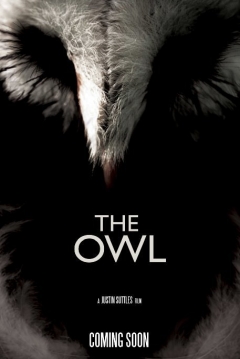 Poster The Owl