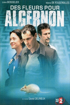 Ficha Des fleurs pour Algernon