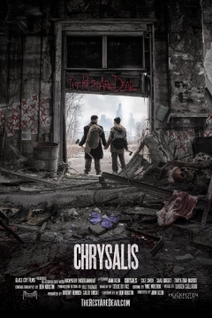 Poster Chrysalis