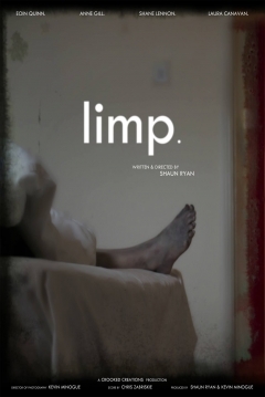 Poster Limp
