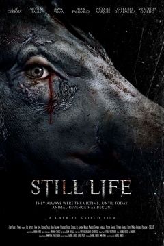 Poster Naturaleza Muerta