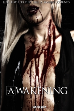 Poster Awakening