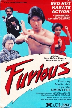 Poster Furious