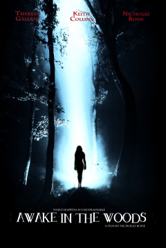 Poster Awake in the woods