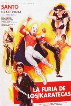 Ficha La Furia de los Karatekas