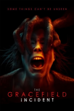 Poster The Gracefield Incident