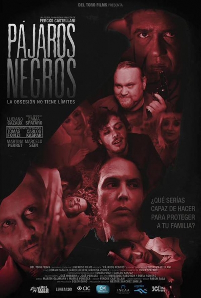 Póster de Pájaros Negros