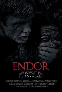 Poster Endor