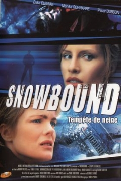 Poster Atrapadas en la Nieve