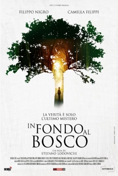Poster Deep in the Wood