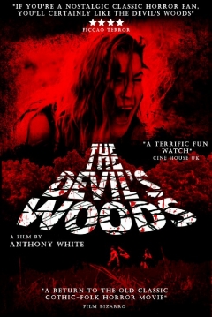 Poster The Devil's Woods