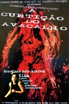Poster A Curtição do Avacalho