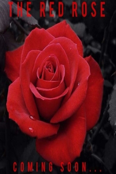 Poster The Red Rose