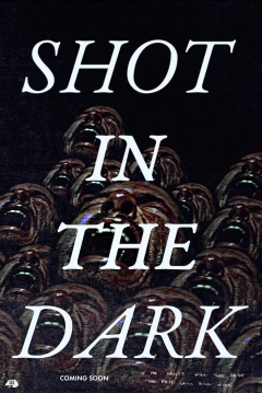 Poster Shot in the Dark