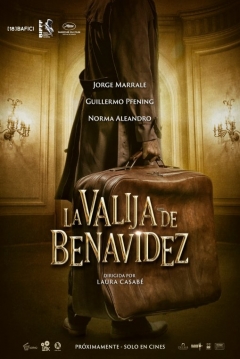 Poster La Valija De Benavidez