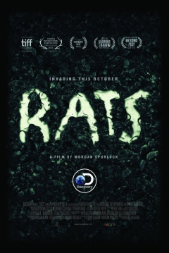 Poster Ratas