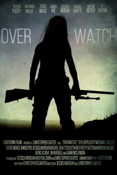 Poster Overwatch