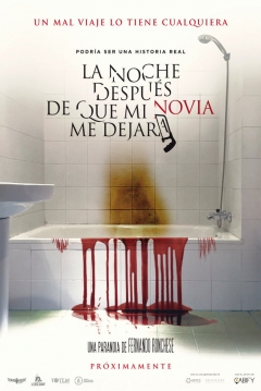 Poster La Noche Después De Que Mi Novia Me Dejara