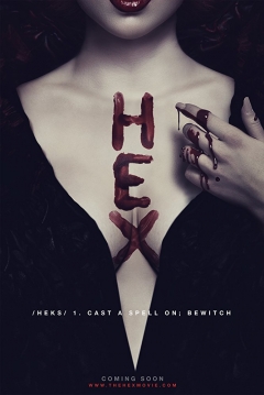 Poster Hex