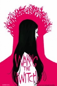 Poster Waking the Witch