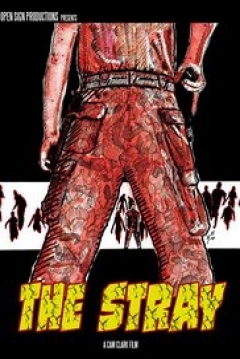 Poster The Stray