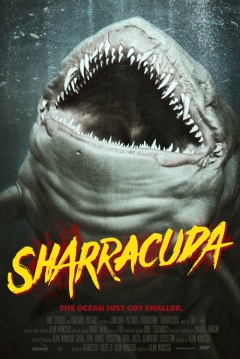 Poster Sharracuda
