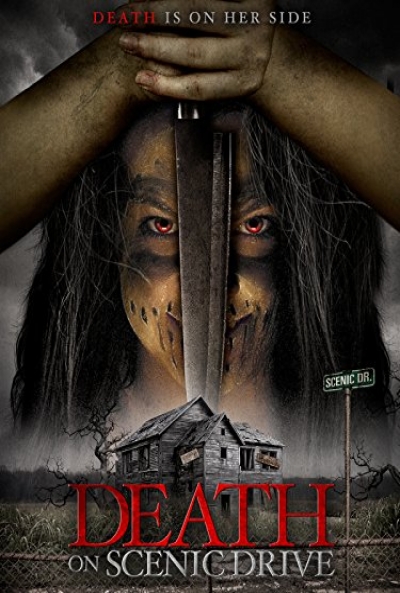 Poster Death on Scenic Drive