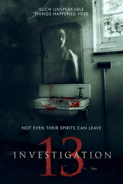 Poster Investigation 13